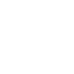 Dịch vụ của ITE bao gồm