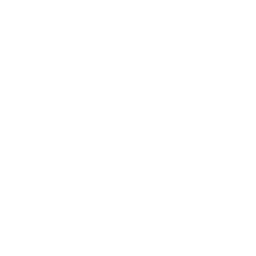 Dịch vụ của ITE bao gồm